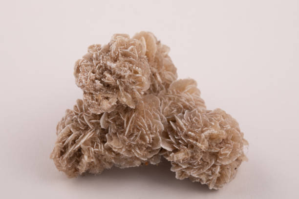 istock desert rose gypsum mineral sample 1398368863