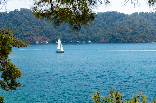 I took this photo in the Göcek neighborhood of Fethiye District of Muğla Province in Turkey.