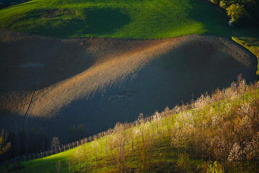 The explosion of colors and scents of spring in the Italian hills reaches its peak in orchard crops