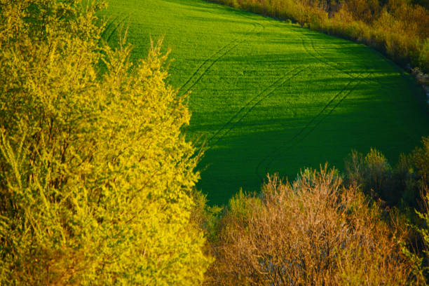The explosion of colors and scents of spring in the Italian hills reaches its peak in orchard crops