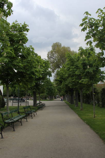 istock Sitting chairs in a park with full of trees and pathways 1398370432
