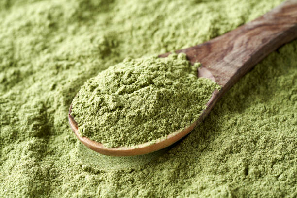 young barley grass powder on a spoon - healthy supplement - barley grass imagens e fotografias de stock