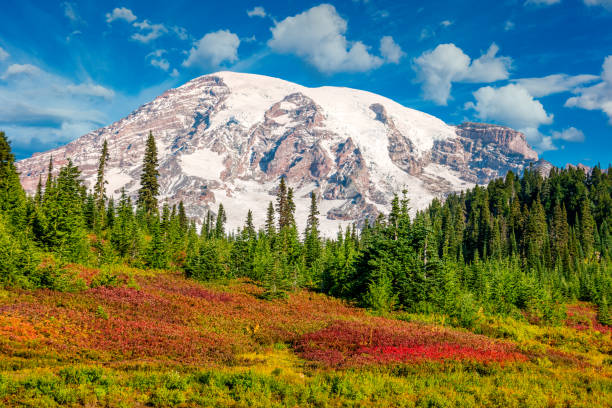 istock Mount Rainier Autumn Fall Paradise Washington 1398374523