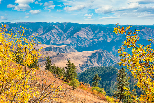 Landscape at Hells Canyon Overlook in Wallowa-Whitman National Forest, Oregon, USA on a sunny autumn day.