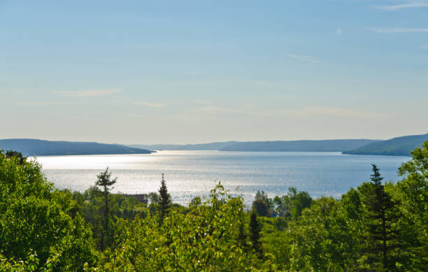 istock Shore of Newfoundland 1398375701