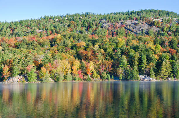 istock Sunrise above forest lake 1398375785