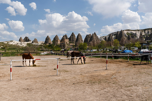 Horses for tourists to ride. Goreme, Nevsehir, Turkey.