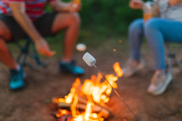 istock Close-up of three young friends roasting marshmallows on a campfire 1398377333