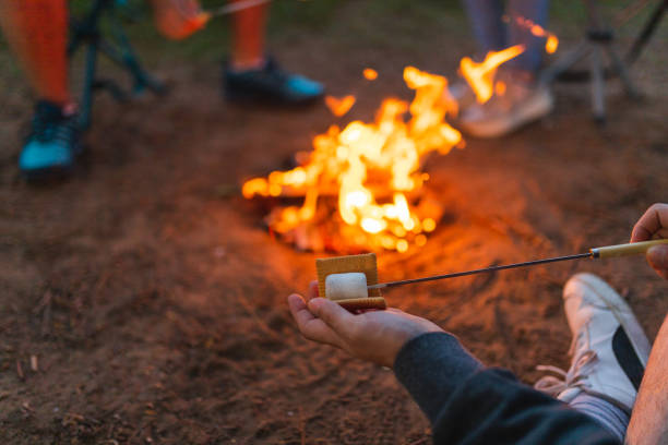istock Close-up of a young man making a marshmallow sandwich while camping outdoors with friends 1398377337