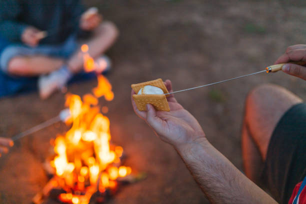istock Close-up of a young man making a marshmallow sandwich while camping outdoors with friends 1398377353