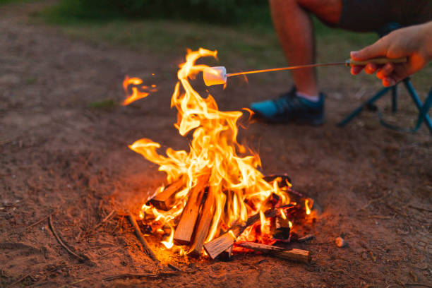 istock Close-up of three young friends roasting marshmallows on a campfire 1398377364