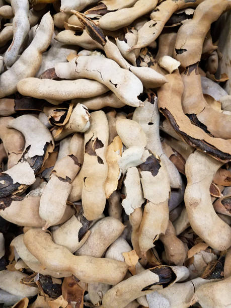 istock Dried Kidney Bean Pods 1398379139
