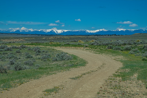 Ranch dirt road and distant Montana Mountains in northwestern USA.