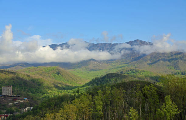 долина гатлинбург - gatlinburg great smoky mountains national park north america tennessee стоковые фото и изображения