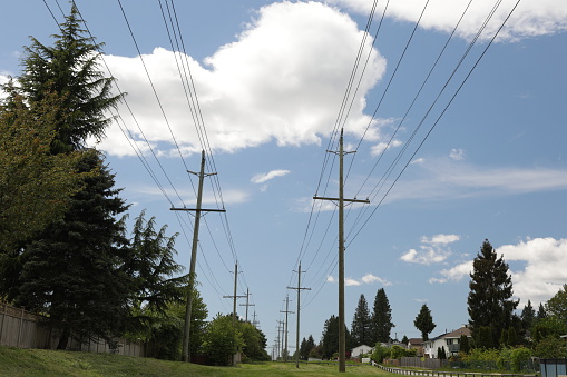 Rows of utility poles line a green belt in a residential neighborhood in southwestern British Columbia. Cloudy skies in springtime.