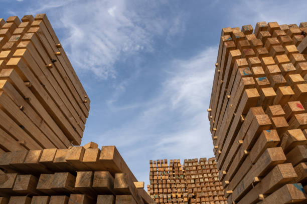 istock Industrial timber neatly processed is stacked in the timber warehouse 1398391347