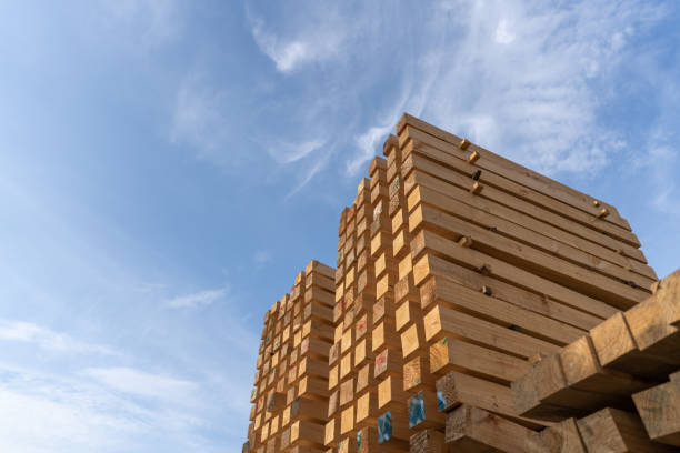 istock Industrial timber neatly processed is stacked in the timber warehouse 1398391361