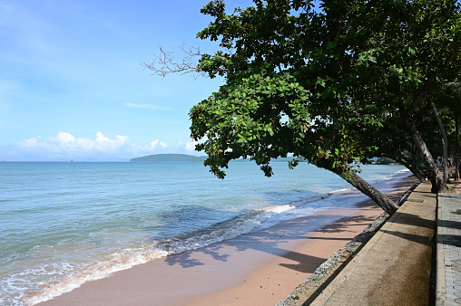 Tropical beach and green tree with blue sky background. Scenery white sandy beach and tree with shadow at Desaru Coast, Malaysia