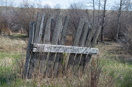 Old worn and weathered, original homestead wood fence in northern Montana of northwestern USA.