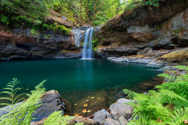 thailandia, cascata, paesaggio - paesaggio, flusso, foresta pluviale - flowing water river spring water foto e immagini stock