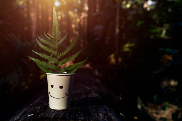 Happy eco-paper cup with fern leaf on log with late afternoon golden sunlight filtering through the trees in the background.
