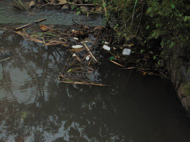 istock dirty river because of plastic and twigs 1398410846