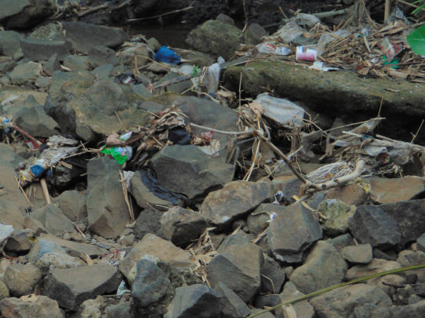 istock dirty river because of plastic and twigs, environmental problems 1398411368