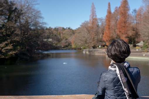 Photo from behind of woman relaxing in beautiful nature view at Inokashira Park, Kichijoji, Tokyo