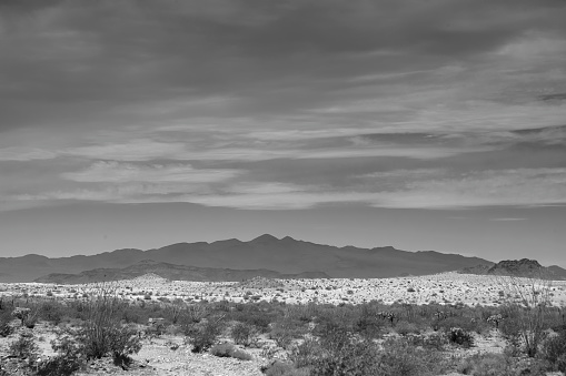 National Park, Great Altar Desert Biosphere Reserve