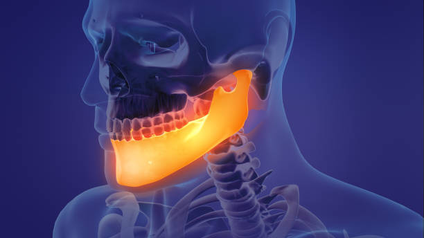 Animation of a painful mandible Animation of a painful mandible animal jaw bone stock pictures, royalty-free photos & images