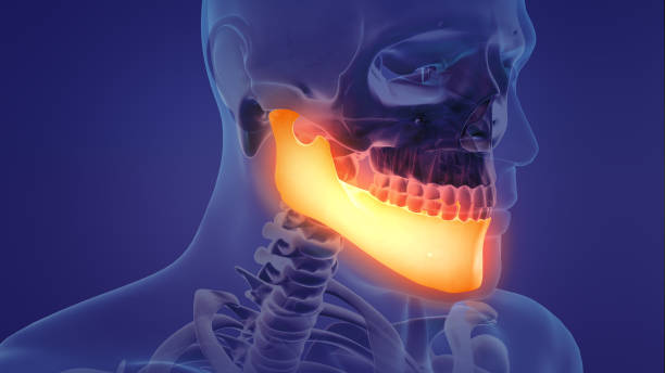 Animation of a painful mandible Animation of a painful mandible animal jaw bone stock pictures, royalty-free photos & images
