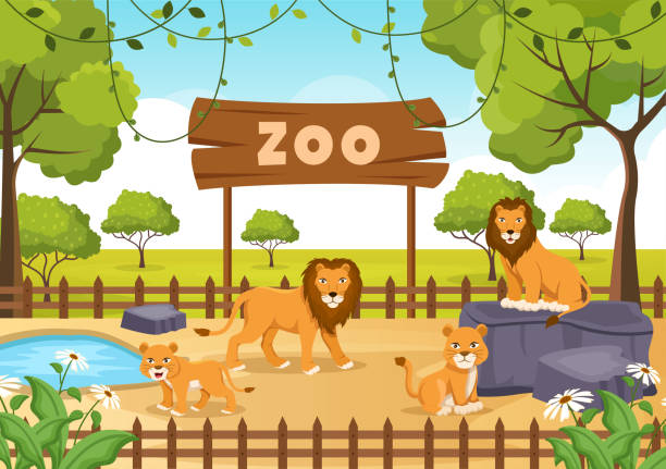 zoo cartoon illustration mit safari tiere löwen, tiger, käfig und besucher auf territorium auf wald hintergrund design - tropical rainforest animal cartoon lion stock-grafiken, -clipart, -cartoons und -symbole