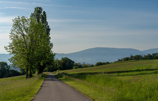 Asphalt gray empty country road crossing meadows in summer season in the middle of French Bugey mountains and leading to the small village in background. Shot during a sunny summer day with clear blue sky in Bugey mountains, in Ain department, Auvergne-Rhone-Alpes region in France (Europe).