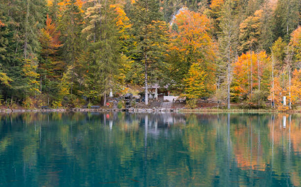istock Nature park Blausee in Switzerland 1398434748