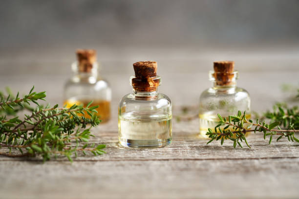 istock Bottles of aromatherapy essential oil with fresh thyme 1398436318