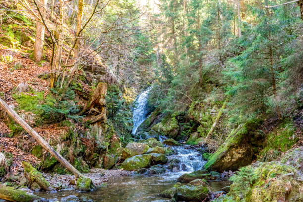 wycieczka odkrywcza przez wąwóz rawenna w pobliżu breitnau - black forest waterfall triberg landscape zdjęcia i obrazy z banku zdjęć