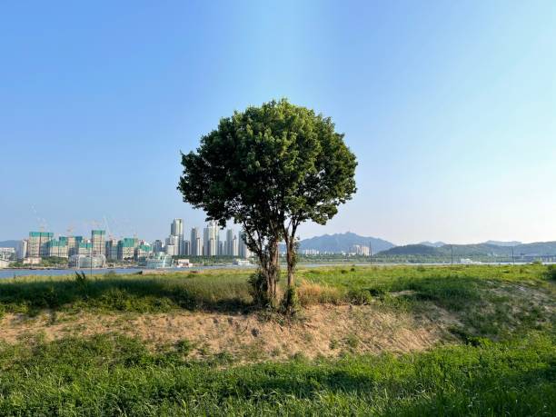 istock Seoul Banpo 1398439375