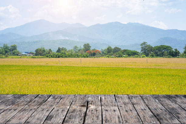 istock Wooden Table Against Rice field and Mountain Scape Background. 1398440577