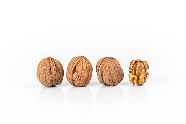 walnut isolado no fundo branco - healthy eating macro close up nut - fotografias e filmes do acervo