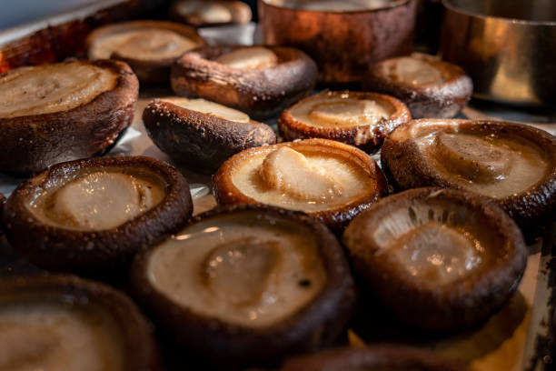 chinese food sizzling grilled shiitake mushrooms - edible mushroom shiitake mushroom fungus chinese cuisine imagens e fotografias de stock