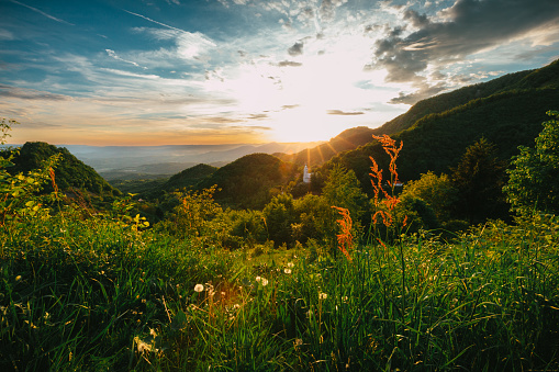 Color image depicting a beautiful wildflower meadow in a remote rural spot in the heart of Transylvania, Romania. It is sunset and the cloudscape has a beautiful orange glow, and the surrounding hills are bathed in the soft evening light. In the far distance, nestled in the hills, is a white orthodox church.