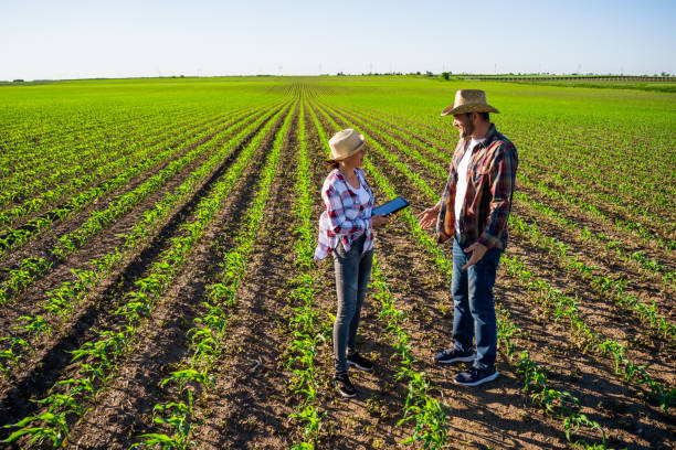 istock Family agricultural occupation 1398446047