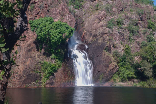 водопад ванги в национальном парке личфилд - wangi falls стоковые фото и изображения