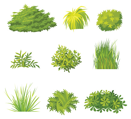 Vector Set of green bushes