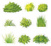 Set of green bushes