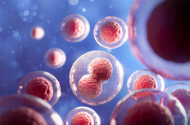 istock 3d rendering of Human cell or Embryonic stem cell microscope background. 1398450565