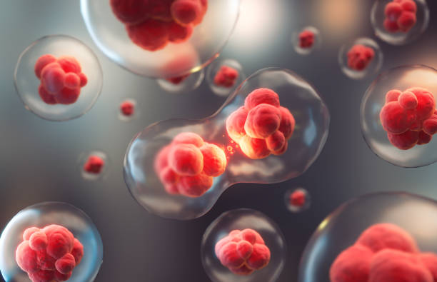 istock 3d rendering of Human cell or Embryonic stem cell microscope background. 1398450635