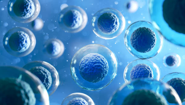 renderização 3d de células humanas ou fundo de microscópio de células-tronco embrionárias. - mitose - fotografias e filmes do acervo