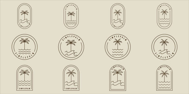 ilustrações de stock, clip art, desenhos animados e ícones de set of simple palm tree line art vector minimalist illustration template icon graphic design. bundle collection of various island and beach sign or symbol for travel or adventure business with badge - wave island palm tree sea