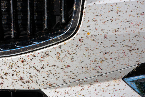 istock Killed insects on the car 1398453645